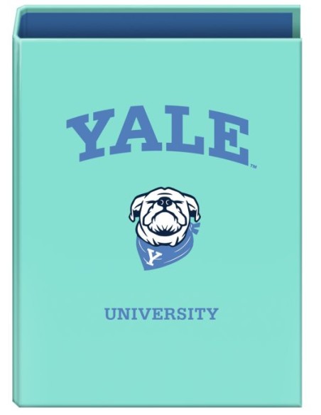 CARPETA Fº 4 ANILLAS 40MM YALE DOG